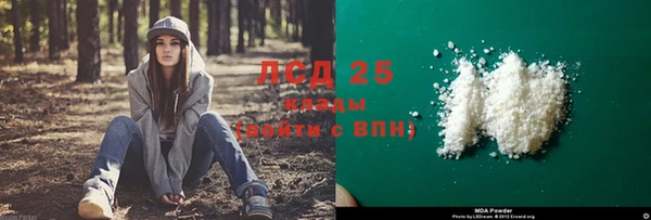 шишки Аркадак