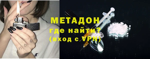 индика Алексин