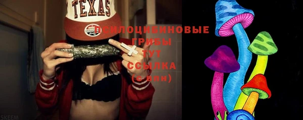 шишки Аркадак