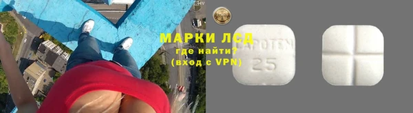 индика Алексин