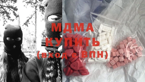 индика Алексин