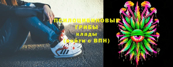 ПСИЛОЦИБИНОВЫЕ ГРИБЫ Армянск