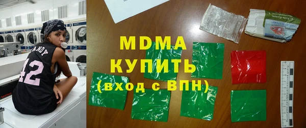 индика Алексин