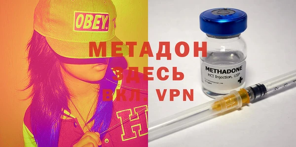 индика Алексин